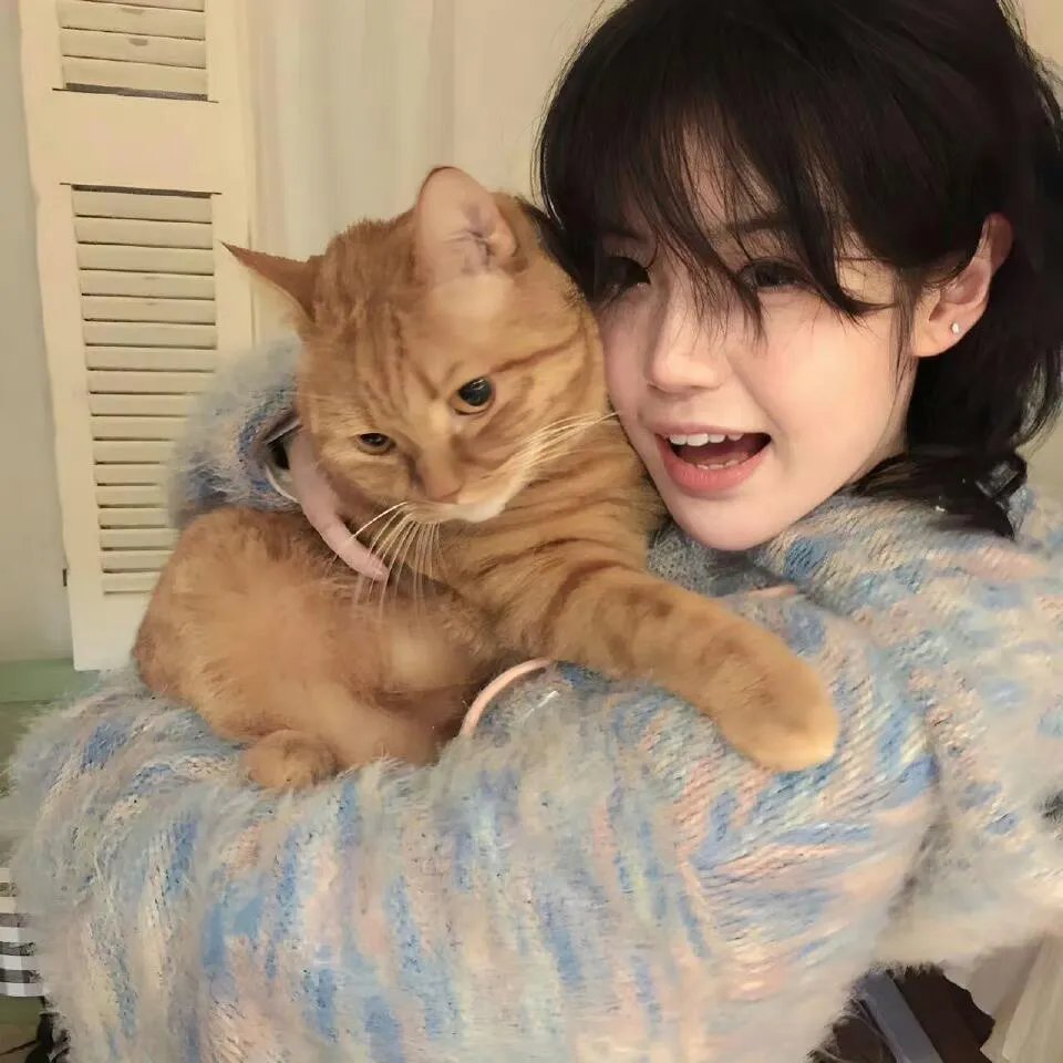 赛拉和黑桃乐队