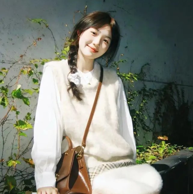 巴布与斯塔尔的维斯塔德尔玛之旅